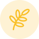 解決方案