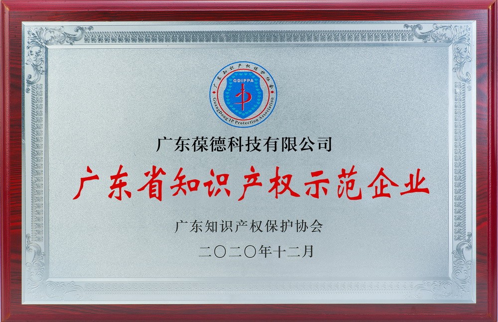 廣東知識產權示范企業