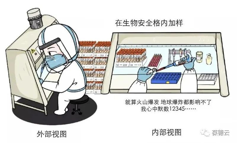 圖解核酸檢測，助力抗疫，葆德一直在行動!