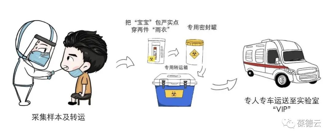 圖解核酸檢測，助力抗疫，葆德一直在行動!