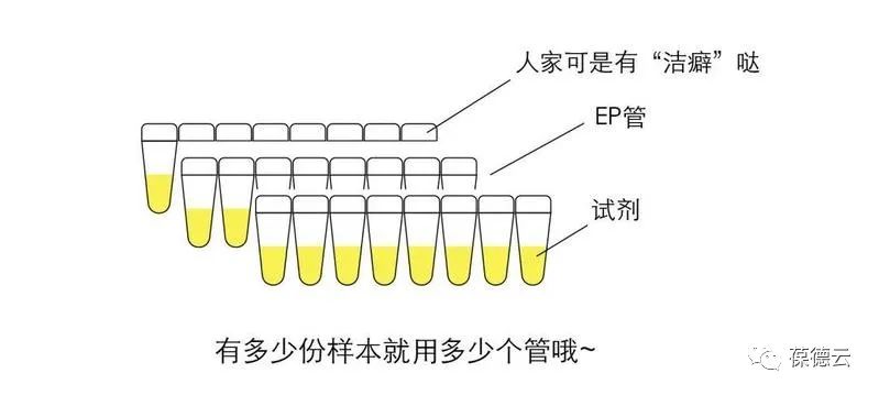 圖解核酸檢測，助力抗疫，葆德一直在行動!