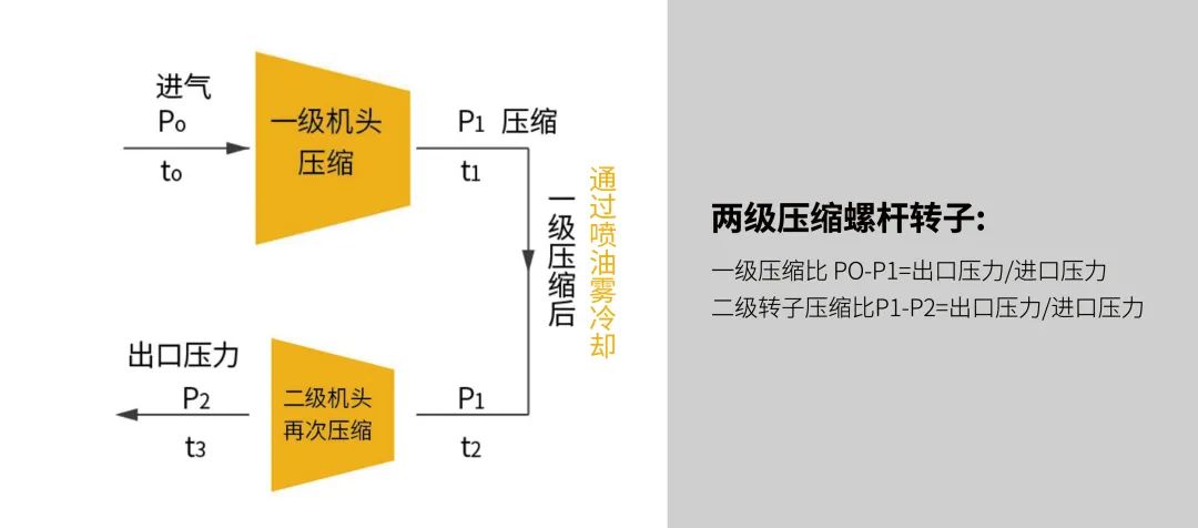 “雙碳”節能如何年省100萬？央視采訪帶你一“碳”究竟！