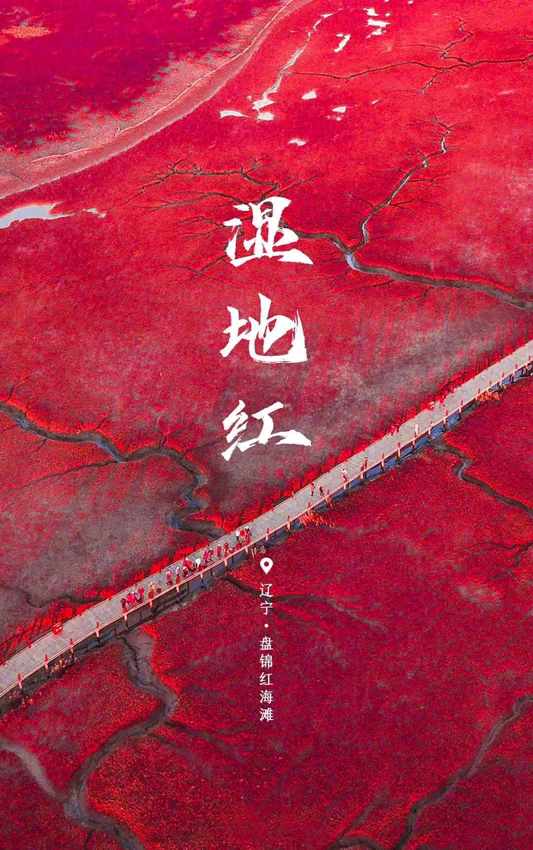 世界環境日 | 用數據驅動節能降耗，建設人與自然和諧共生！