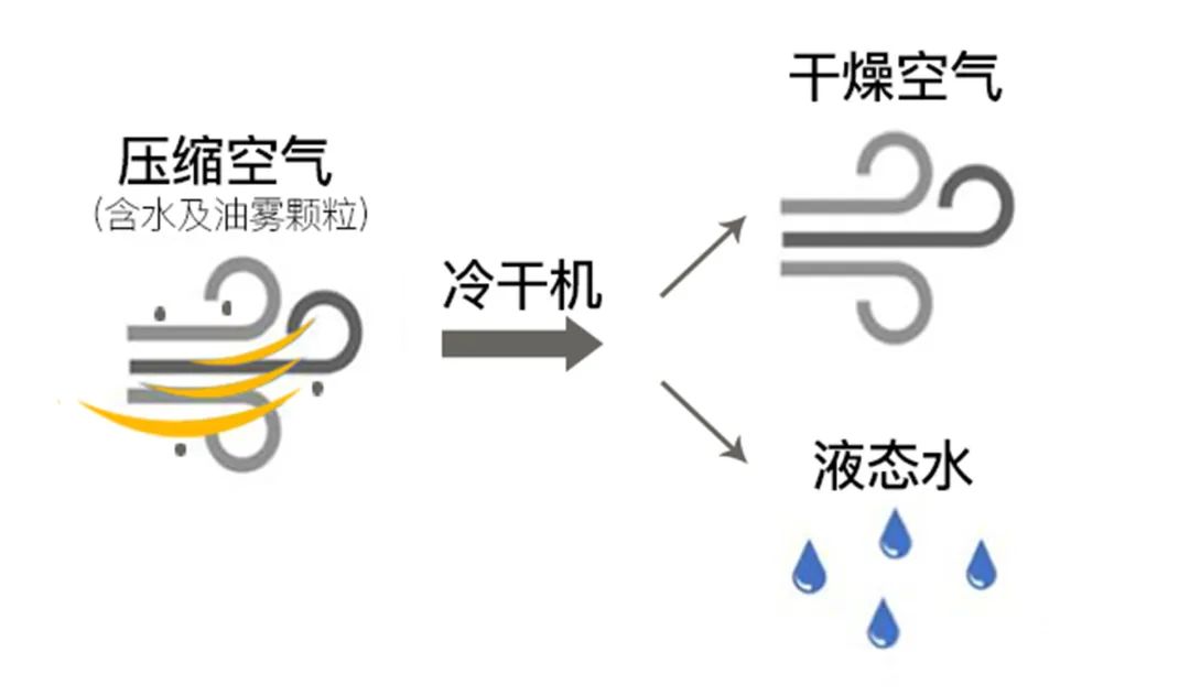 炎炎夏日，來了解冷干機的“冷”知識！