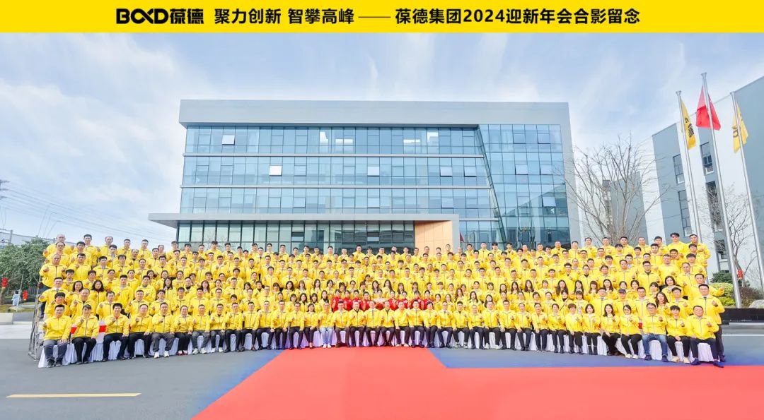 聚力創新 智攀高峰 —— 葆德集團2024迎新年會圓滿舉行!