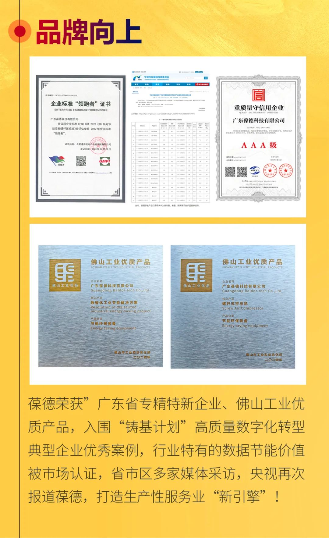 沐光而行，美好啟新！葆德科技2024年度發展概覽！