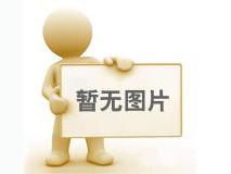 金科產文教衛共融 齊建粵港澳大灣區